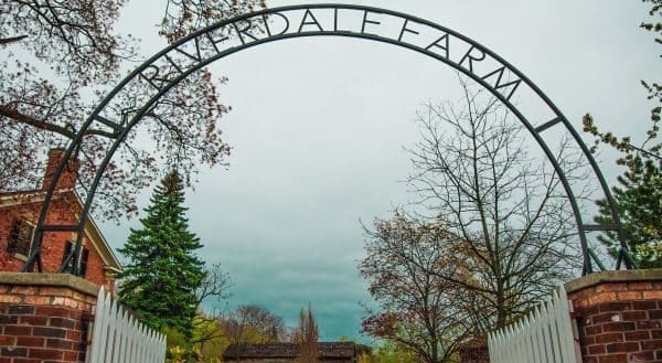 riverdale-farm-toronto-(by-mauricio-alas-photography)