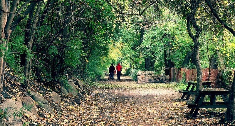 riverdale-farm